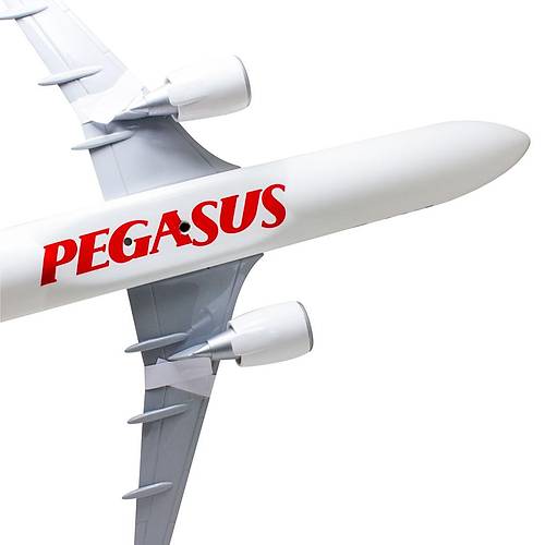 PEGASUS Airbus 321 Neo