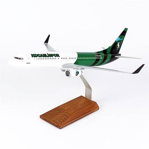 1/100 �l�ek, THY Kocaeli Spor Logolu B737-800 Yolcu U�a��,