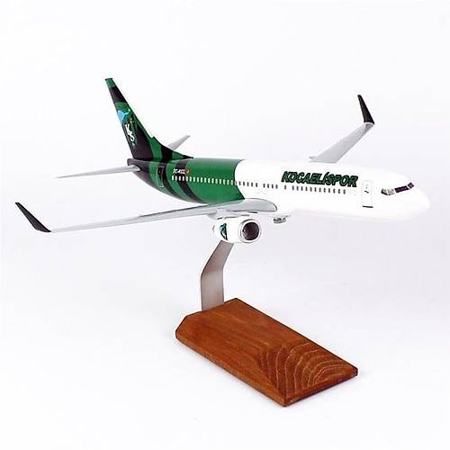 1/100 �l�ek, THY Kocaeli Spor Logolu B737-800 Yolcu U�a��,