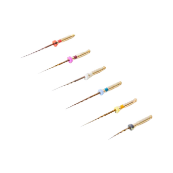 EndoArt Rotary Protaper Gold Kanal Eesi 6 L