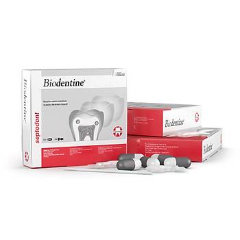 Septodont Biodentine 5 Li Bioaktif Dentin Tamir Materyali