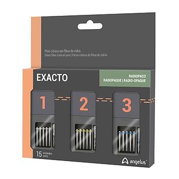 Angelus Exacto Konik Cam Fiber Post Set