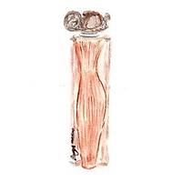 Givenchy Organza