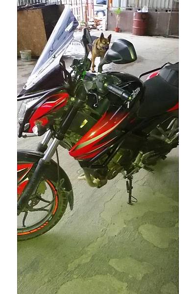 Bajaj Pulsar 200 NS Koruma Demiri