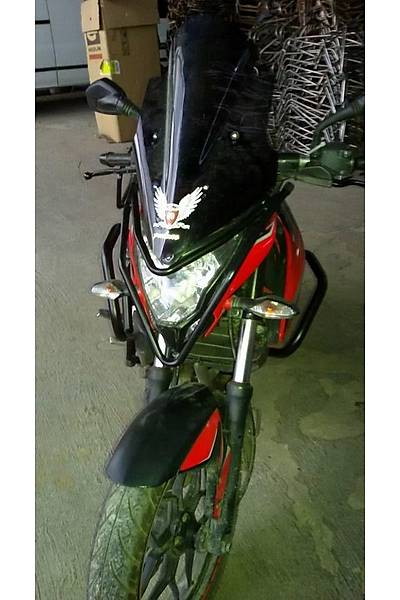 Bajaj Pulsar 200 NS Koruma Demiri