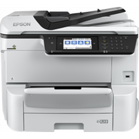 EPSON WF/C11CG69401/WF