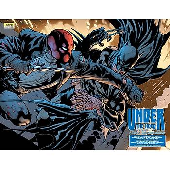 Batman: Under the Red Hood