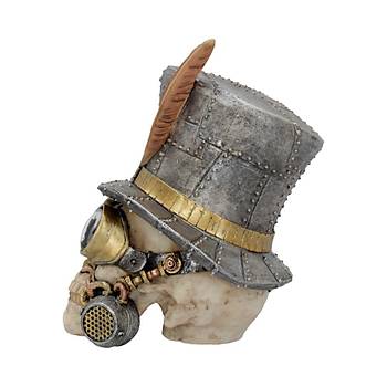 Count Archibald 19.5cm Dekoratif Kurukafa