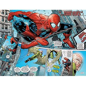 Peter Parker: The Spectacular Spider-Man Vol. 1: Into The Twilight