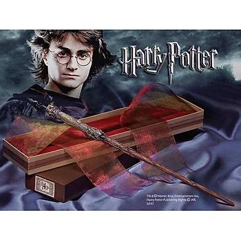 Harry Potter - Harry Potter's Asa