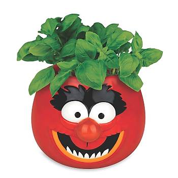 MUPPETS PLANTER - ANIMAL
