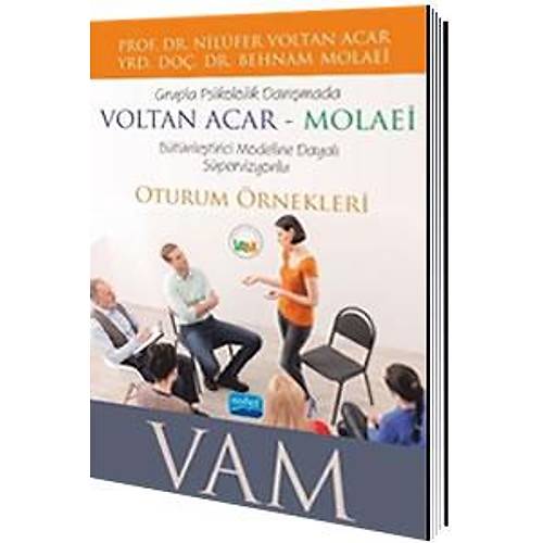 Grupla Psikolojik Danışmada VOLTAN ACAR-MOLAEİ (VAM) Bütünleştirici Modeline Dayalı Süpervizyonlu Oturum Örnekleri