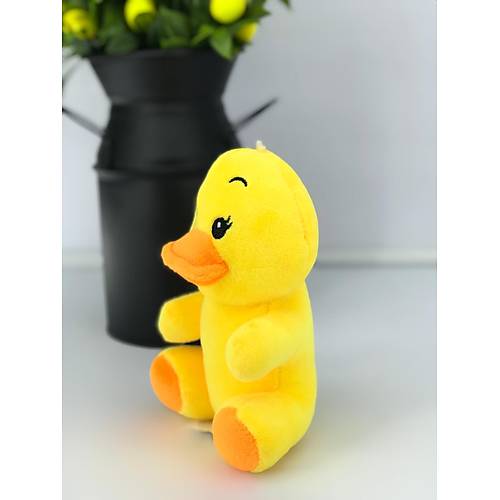 rdek Vantuzlu 15 Cm