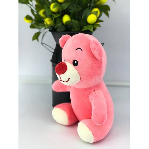 Pembe Ayck 20 Cm