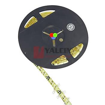 5 mt Led erit  ipli 60 SMD IP55 RGB  203698 (5985 2570)