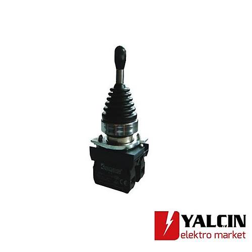 22mm 2 Yn Hareketli Yayl Joystick CM101DJ21 