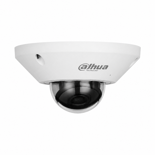 Dahua IPC-EB5541-AS 5 MP WizMind Fisheye IP Kamera