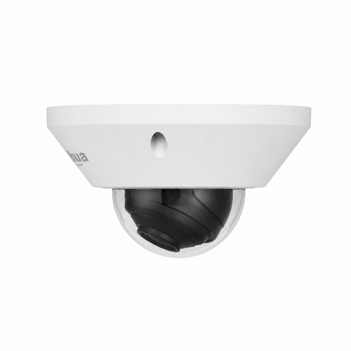 Dahua IPC-EB5541-AS 5 MP WizMind Fisheye IP Kamera