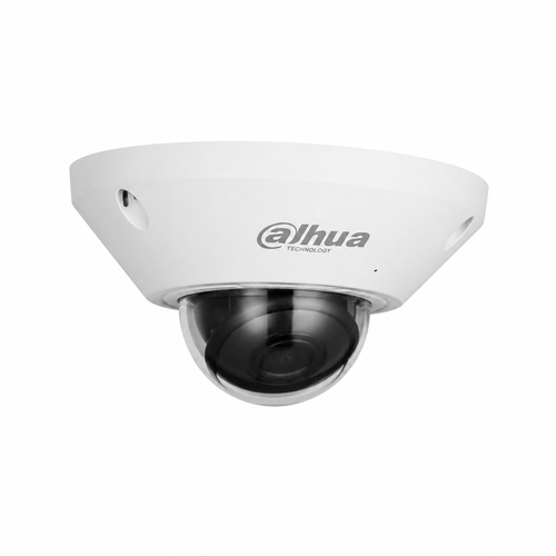 Dahua IPC-EB5541-AS 5 MP WizMind Fisheye IP Kamera