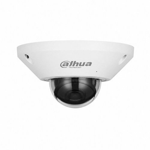 Dahua IPC-EB5541-AS 5 MP WizMind Fisheye IP Kamera