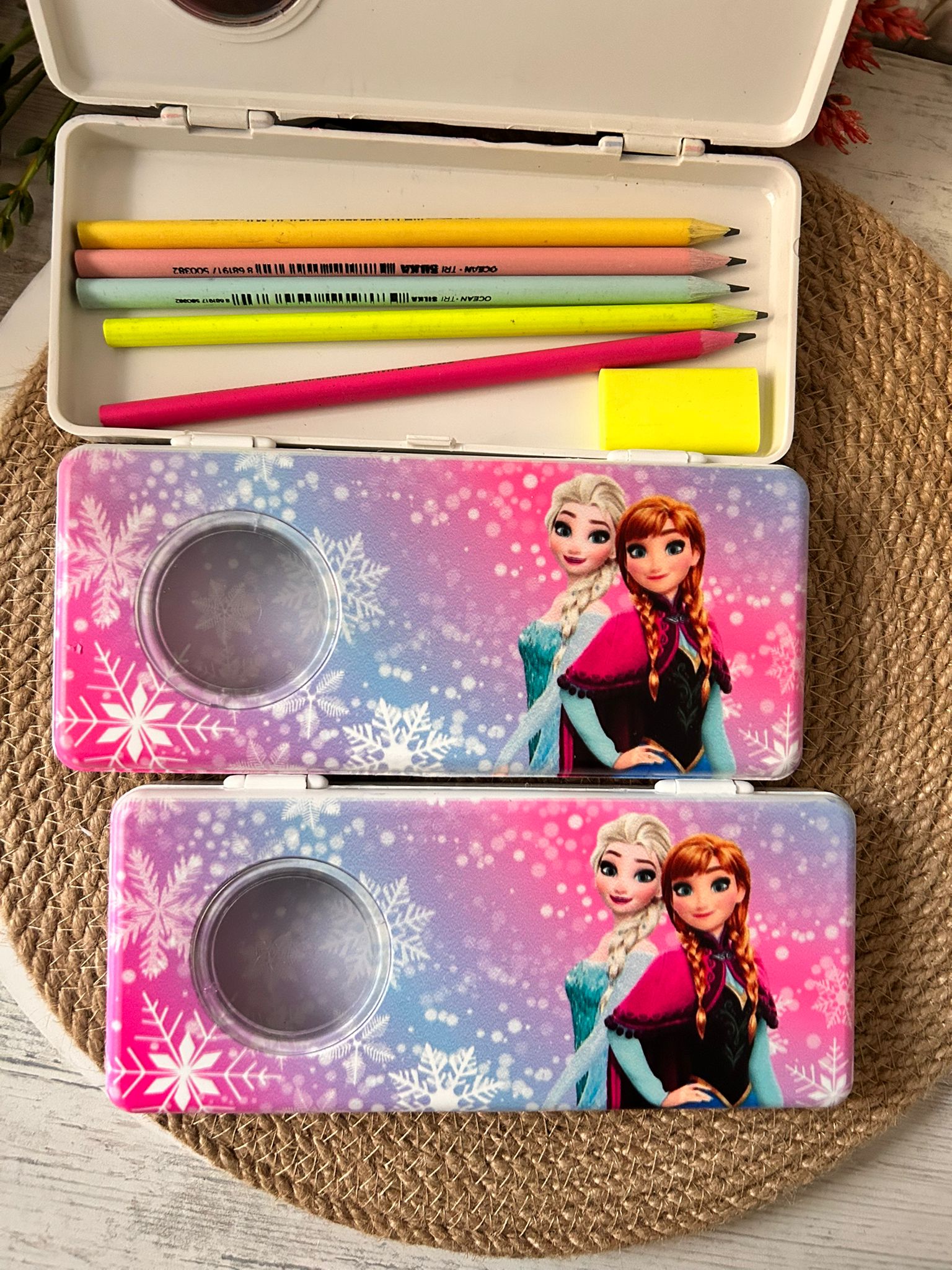 ELSA TEMALI  PLASTİK  KALEMLİK