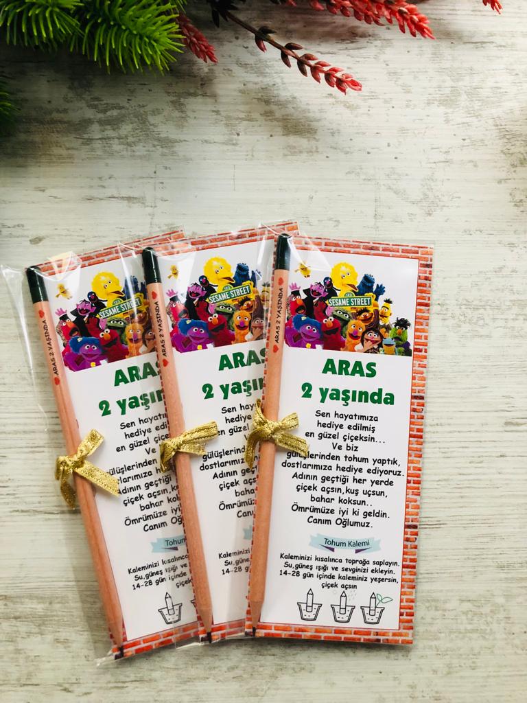 Susam Sokağı  Temalı Tohumlu Kalem