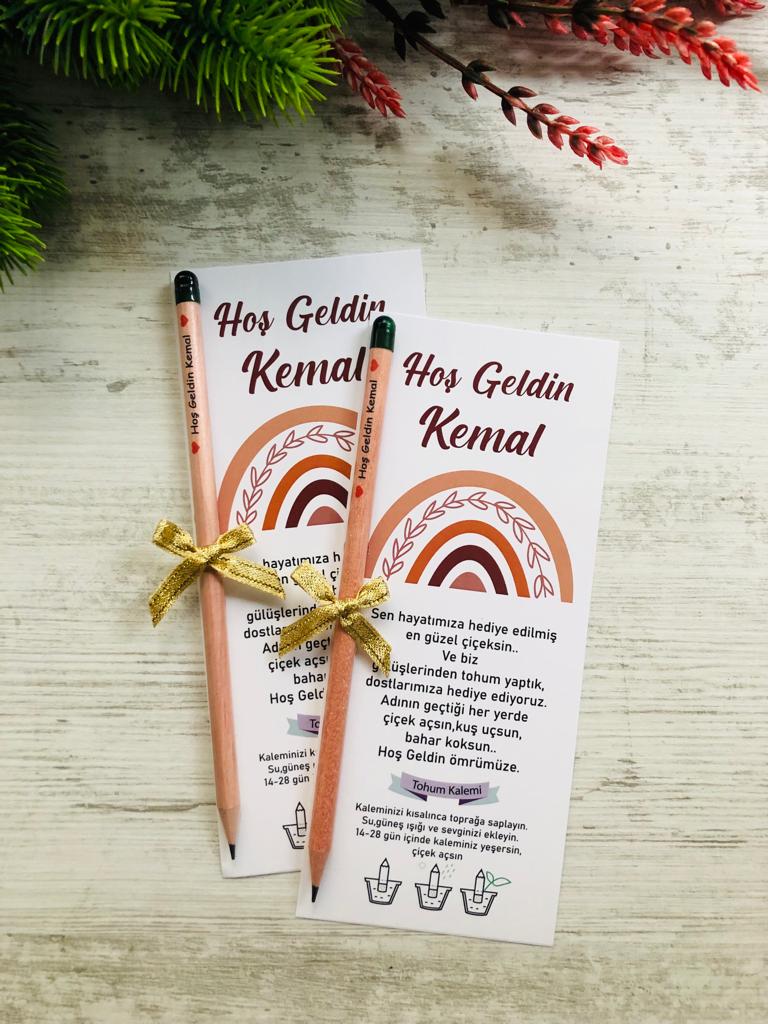 Kahve Bohem Gökkuşağı  Temalı Tohumlu Kalem