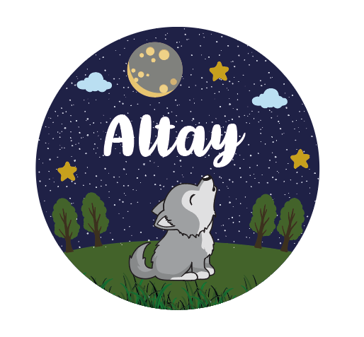 KABARTMA KAPI SÜSÜ +45 BALON MAGNET +50 AGRDAND ÇİKOLATA VE KUTUSU