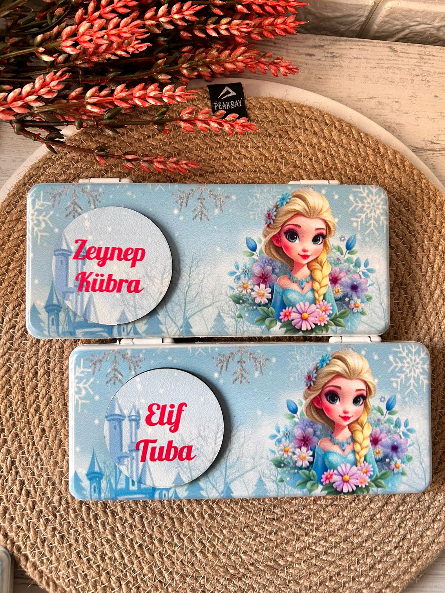 ELSA TEMALI PLASTİK  KALEMLİK