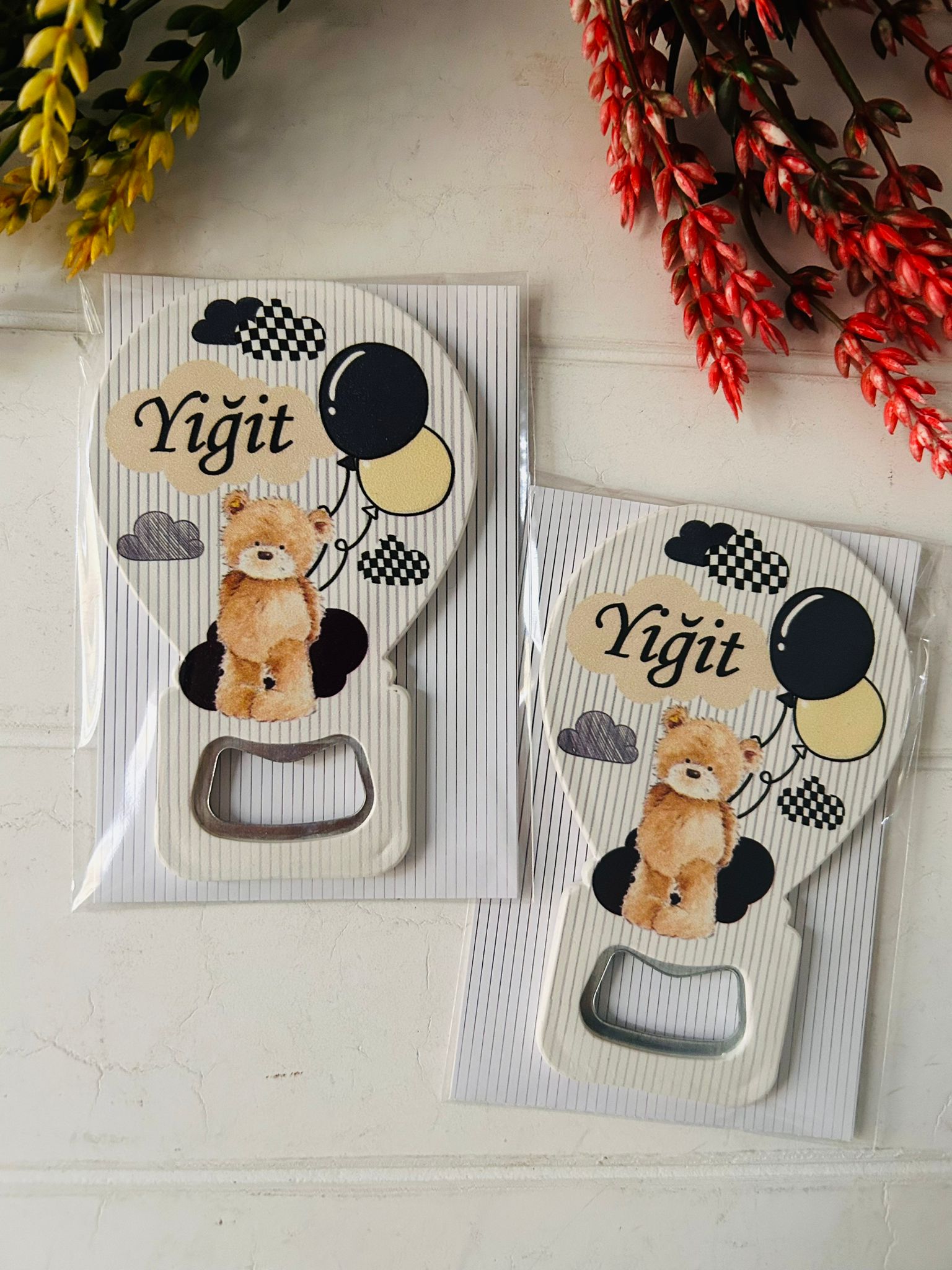 Ayıcık ve Damalı Bulut  Balon Magnet