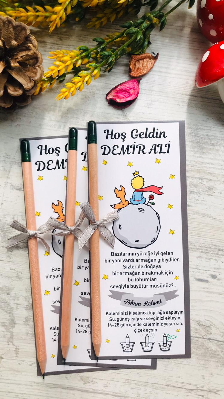 Küçük Prens  Temalı Tohumlu Kalem