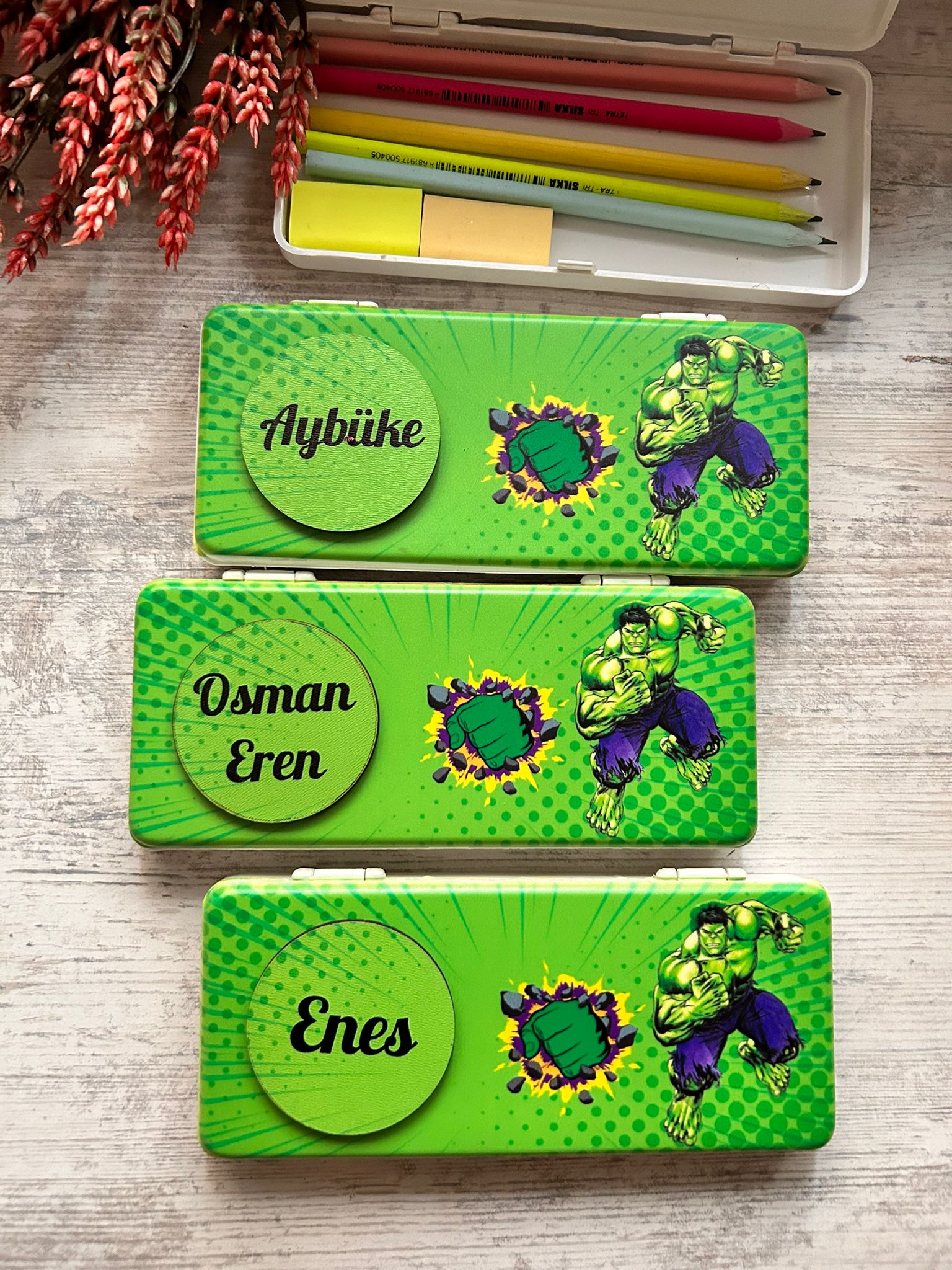 HULK  PLASTİK  KALEMLİK