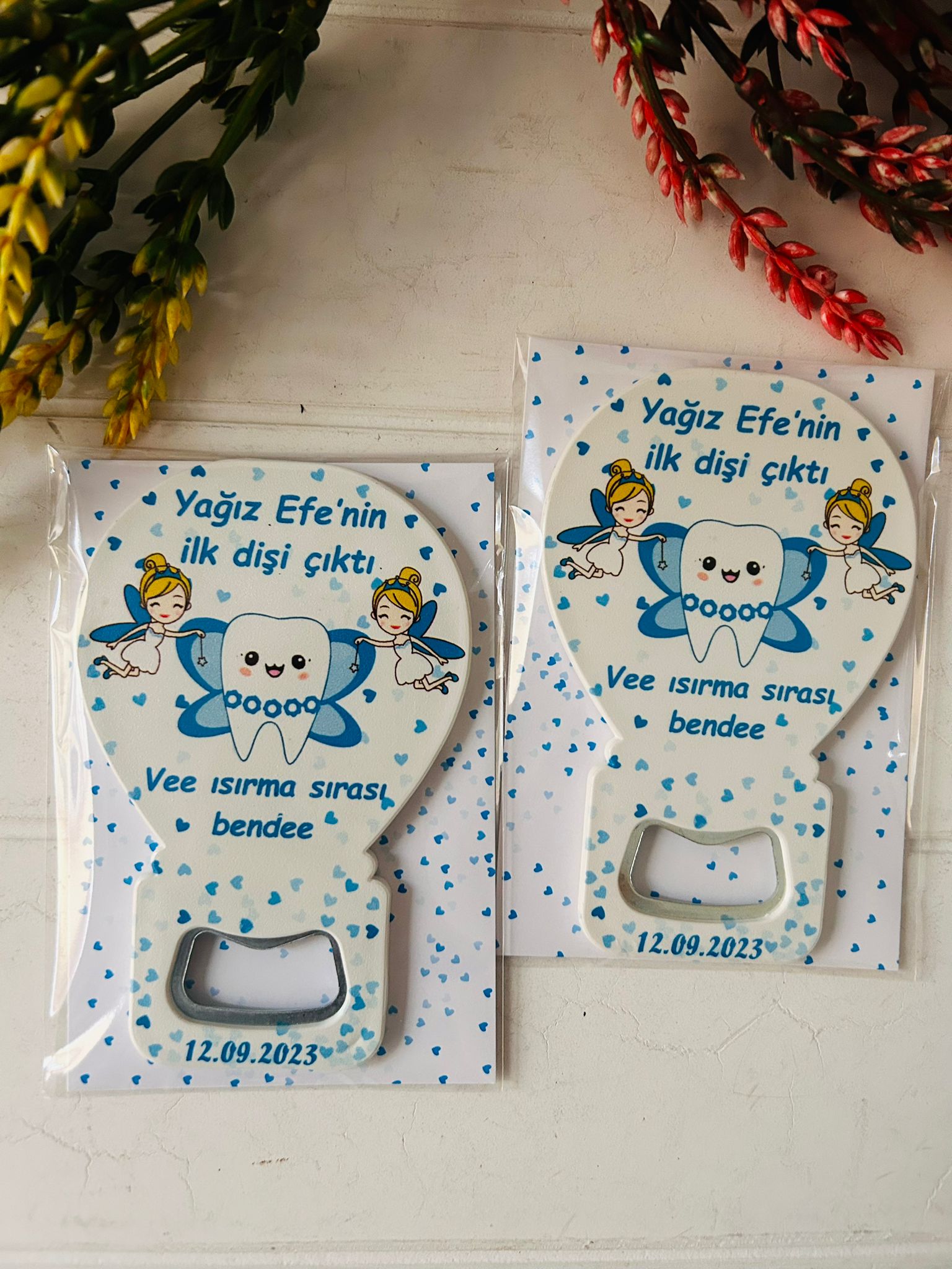 Diş Buğdayı Balon Magnet