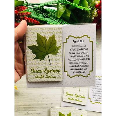 ��narTemal�  3 mm Ah�ap Magnet