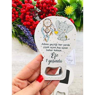 Balon Magnet Fil ve D�� Kapan� Temal�