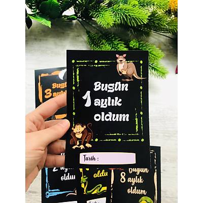 irin Hayvanlar Temal 12'li Ay Kartlar