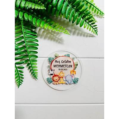 Safari Temal Pleksi Magnet