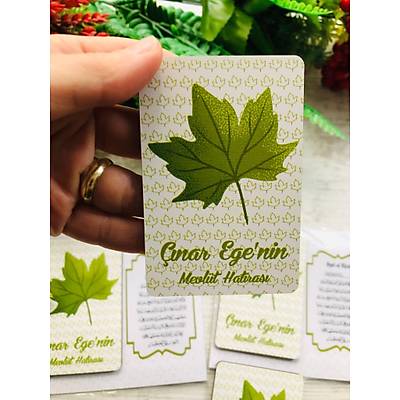 ��narTemal�  3 mm Ah�ap Magnet