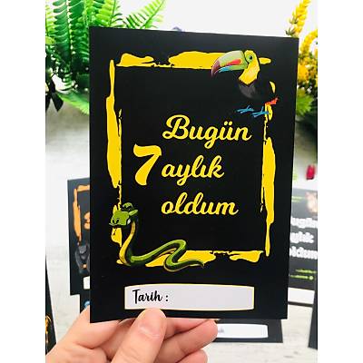 irin Hayvanlar Temal 12'li Ay Kartlar