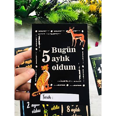 irin Hayvanlar Temal 12'li Ay Kartlar