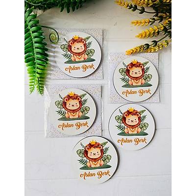 Aslan Temal  3 mm Ahap Magnet