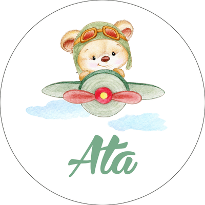 P�LOT AYICIK TEMALI  ��KOLATA  KUTUSU