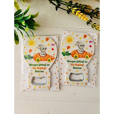 Balon A�acak Magnet Di� Bu�day� Temal�