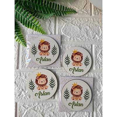 Aslan Temal  3 mm Ahap Magnet