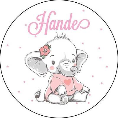 F�L TEMALI  ��KOLATA  KUTUSU