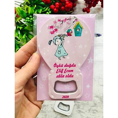 Balon Magnet Ku� Kafesi ve �irin K�z Temal� K�zTemal�