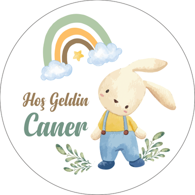 TAV�AN TEMALI  ��KOLATA  KUTUSU