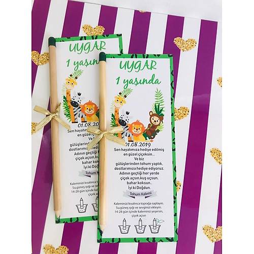 G�rsel 1