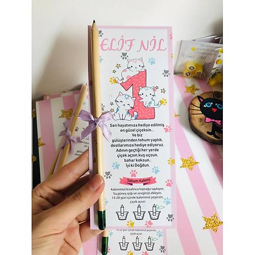 G�rsel 2