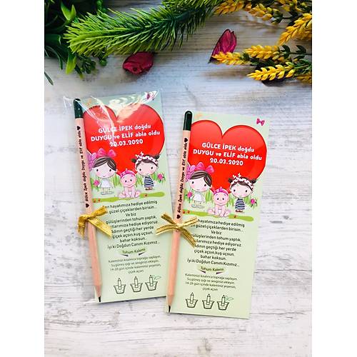 Abla K�z Karde� Temal� Tohumlu Kalem